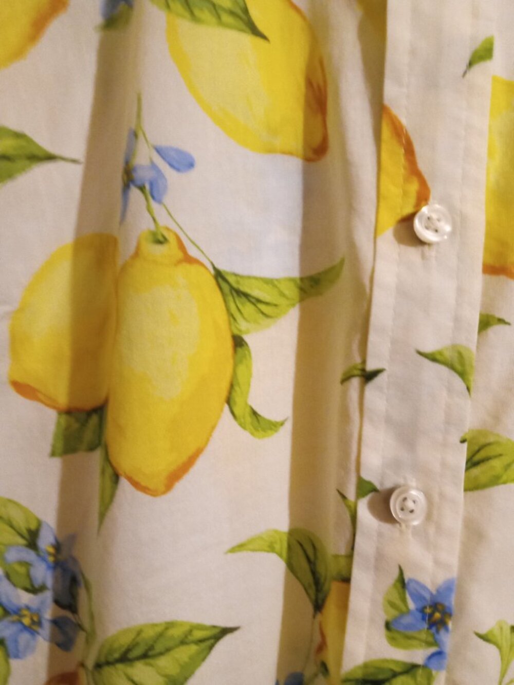 Talbots-Blouse - Picture 5 of 6